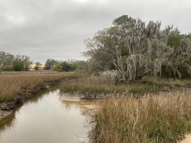 6079 Josie Ridge Road, Wadmalaw Island, SC 29487