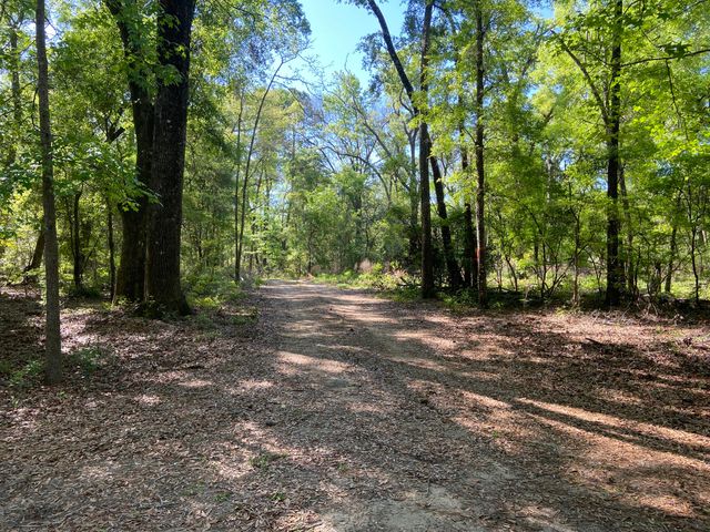 6079 Josie Ridge Road, Wadmalaw Island, SC 29487