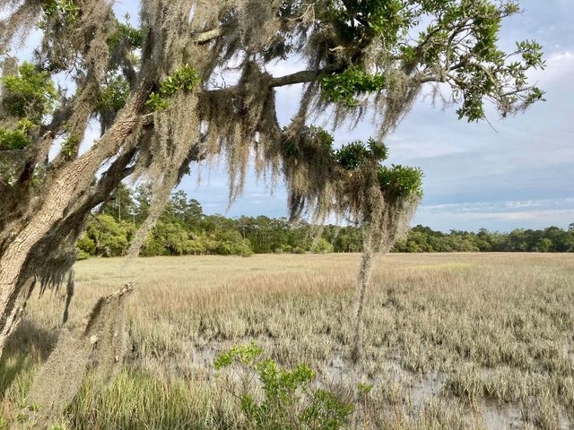 6079 Josie Ridge Road, Wadmalaw Island, SC 29487