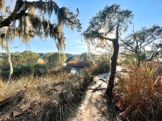 6079 Josie Ridge Road, Wadmalaw Island, SC 29487