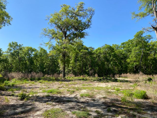 6079 Josie Ridge Road, Wadmalaw Island, SC 29487