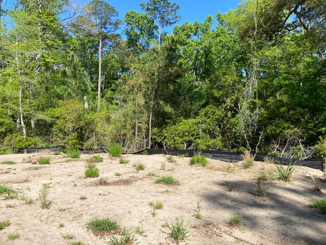 6079 Josie Ridge Road, Wadmalaw Island, SC 29487