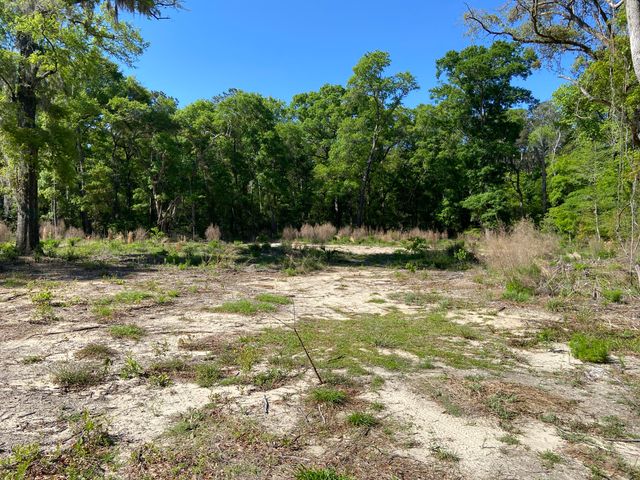 6079 Josie Ridge Road, Wadmalaw Island, SC 29487