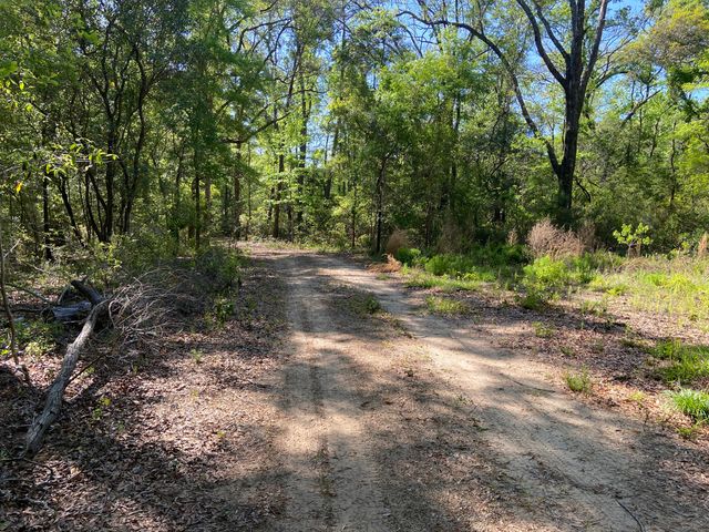 6079 Josie Ridge Road, Wadmalaw Island, SC 29487