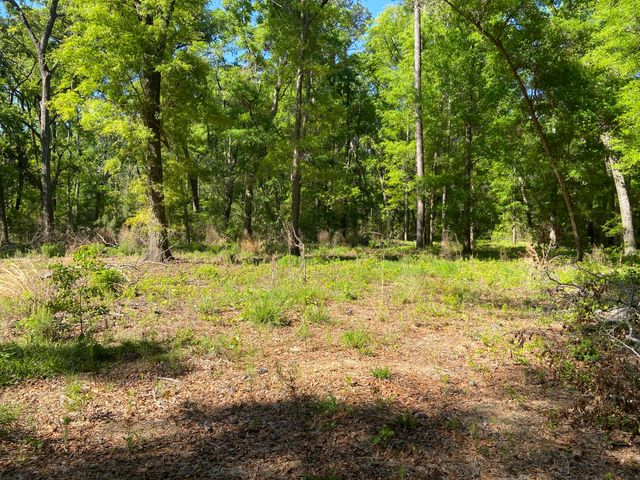 6079 Josie Ridge Road, Wadmalaw Island, SC 29487