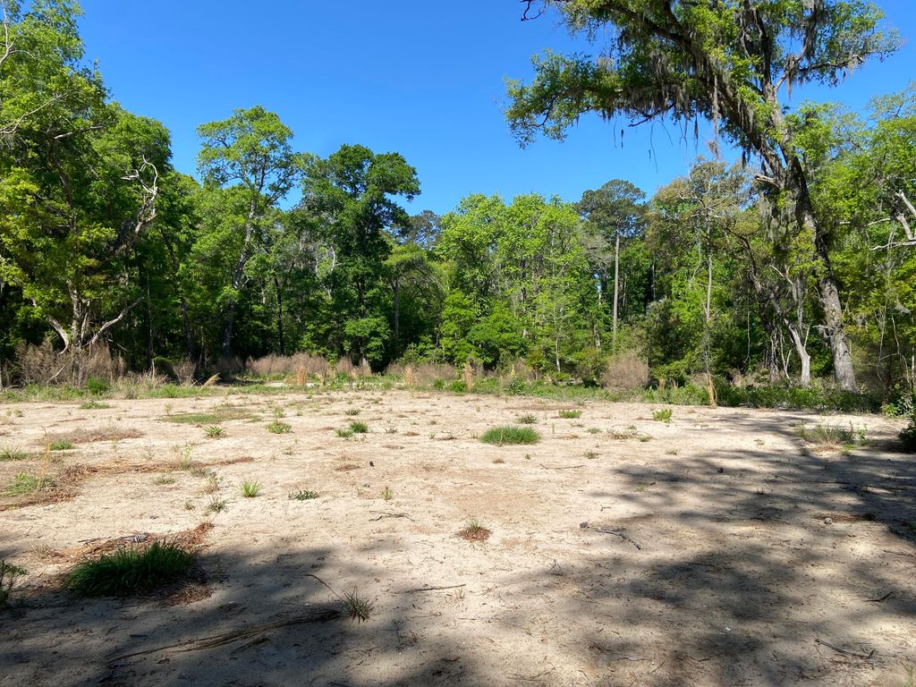 6079 Josie Ridge Road, Wadmalaw Island, SC 29487