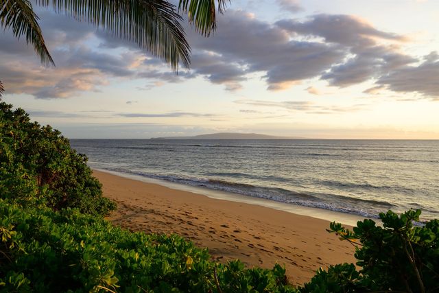 1536 Halama St, Kihei, HI 96753