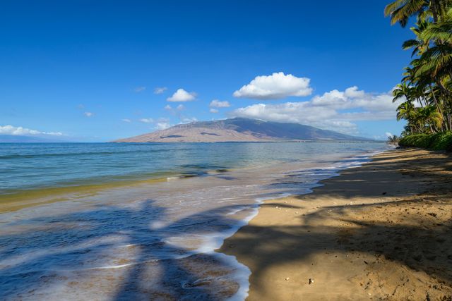 1536 Halama St, Kihei, HI 96753