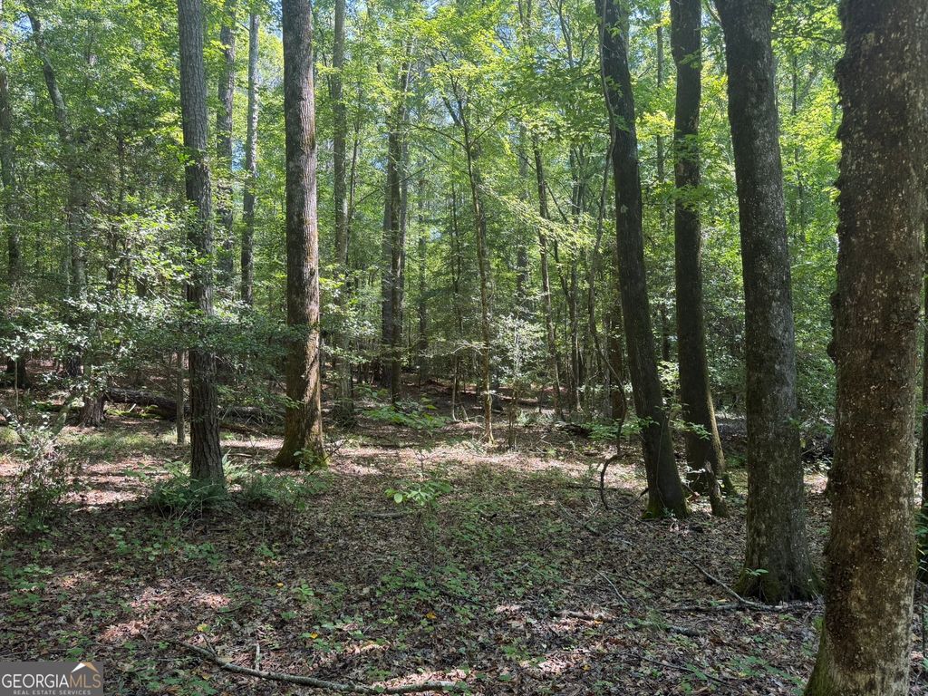 0 Hulmes Chapel, Elberton, GA 30635 — photo 2
