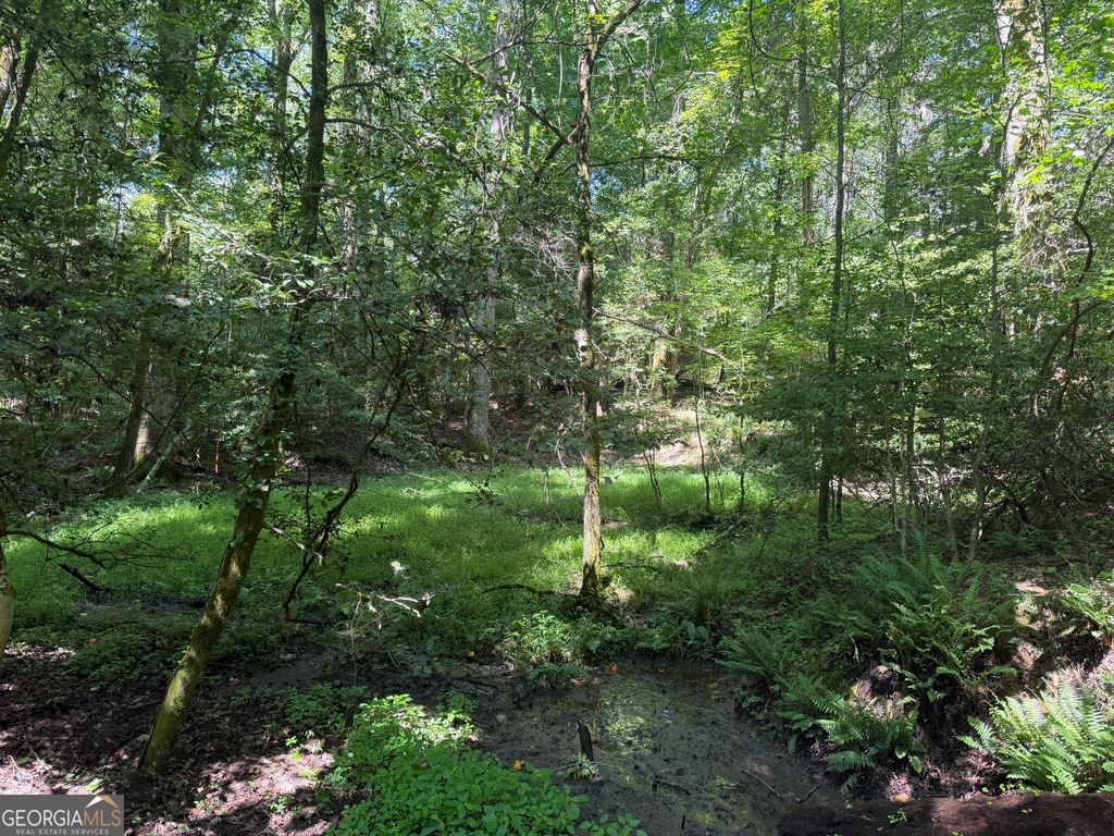 0 Hulmes Chapel, Elberton, GA 30635 — photo 4