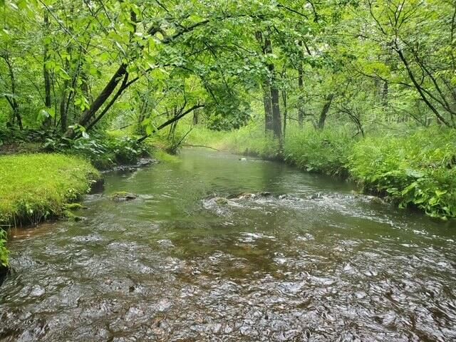 1977 E 40th Street, Everett Twp, MI 49349