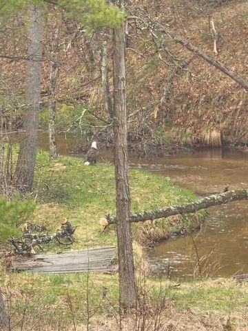 1977 E 40th Street, Everett Twp, MI 49349