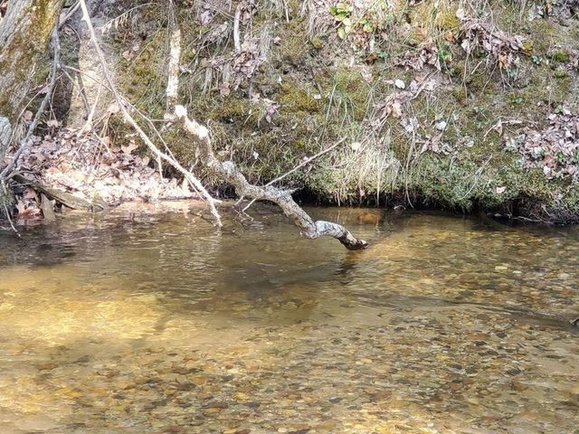 1977 E 40th Street, Everett Twp, MI 49349