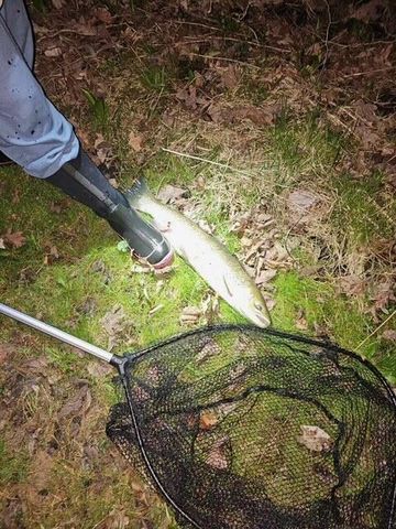 1977 E 40th Street, Everett Twp, MI 49349