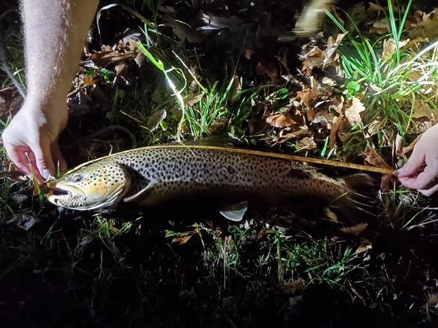 1977 E 40th Street, Everett Twp, MI 49349