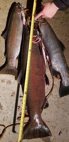 1977 E 40th Street, Everett Twp, MI 49349