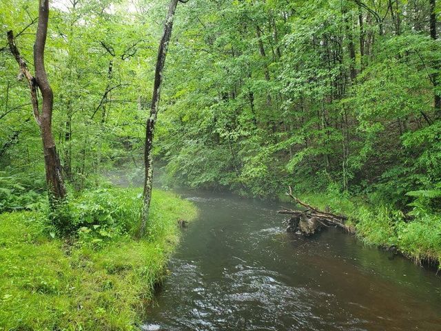 1977 E 40th Street, Everett Twp, MI 49349