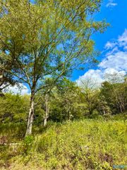 158 Lyons Road, Decatur, AL 35603