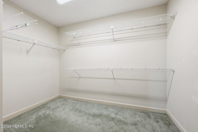 2957 FOREST Circle, Jacksonville, FL 32257