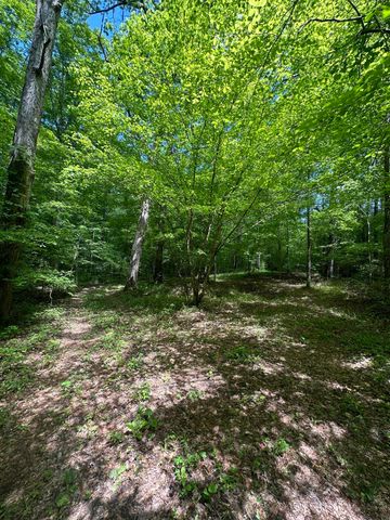 0 Castleberry Road, Lafayette, GA 30728