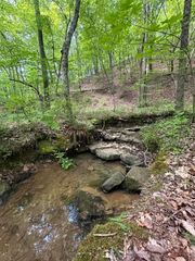 0 Castleberry Road, Lafayette, GA 30728