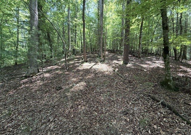 LT3469 Fir Lane, Ellijay, GA 30540