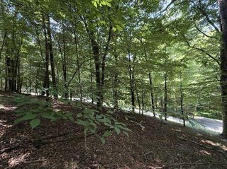 LT3469 Fir Lane, Ellijay, GA 30540