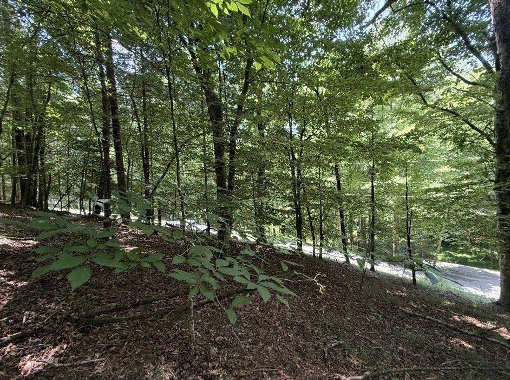 LT3469 Fir Lane, Ellijay, GA 30540