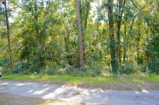 TBD NE 162ND PLACE, Citra, FL 32113