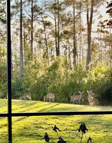 20516 Ardore LN, Estero, FL 33928