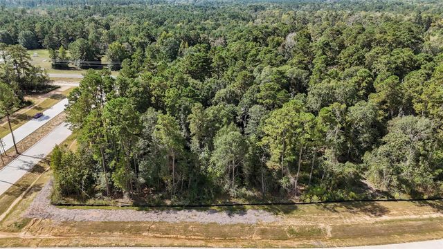 Lot 5, Blk 8, Sec 1 Elmore Creek Drive, Willis, TX 77378
