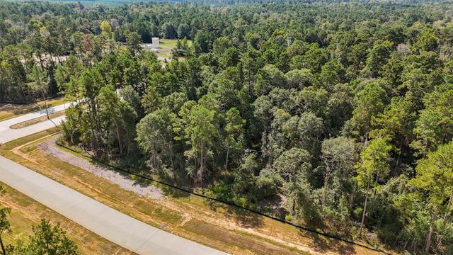Lot 5, Blk 8, Sec 1 Elmore Creek Drive, Willis, TX 77378
