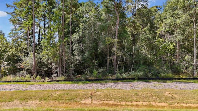 Lot 5, Blk 8, Sec 1 Elmore Creek Drive, Willis, TX 77378