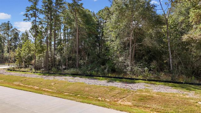 Lot 5, Blk 8, Sec 1 Elmore Creek Drive, Willis, TX 77378
