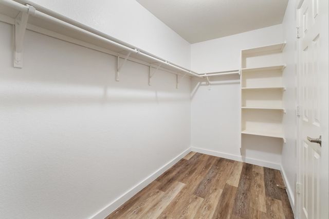 1428 Poppy Seed LN, Austin, TX 78741