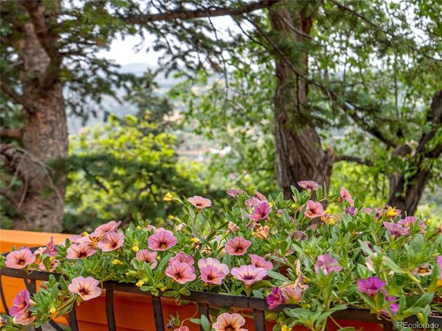 902 High Rd, Manitou Springs, CO 80829