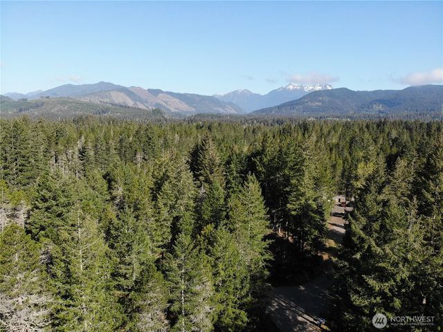 1220 N Cod Place, Hoodsport, WA 98548