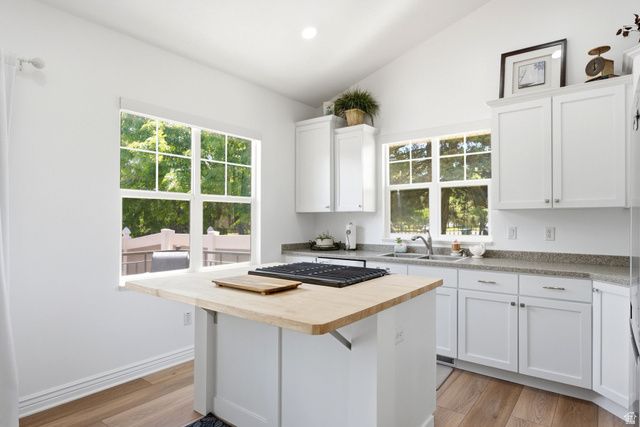 11301 S BLUE ROAN LN, Sandy, UT 84092
