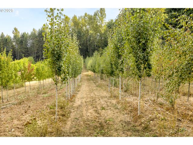29630 Se WHEELER Rd, Boring, OR 97009