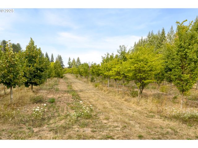 29630 Se WHEELER Rd, Boring, OR 97009