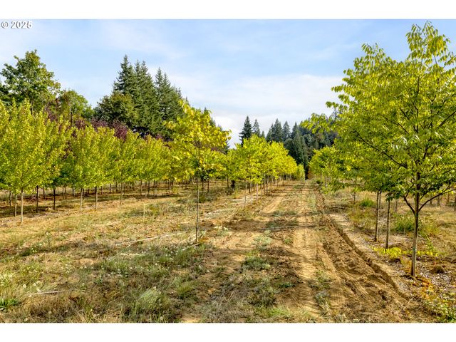 29630 Se WHEELER Rd, Boring, OR 97009