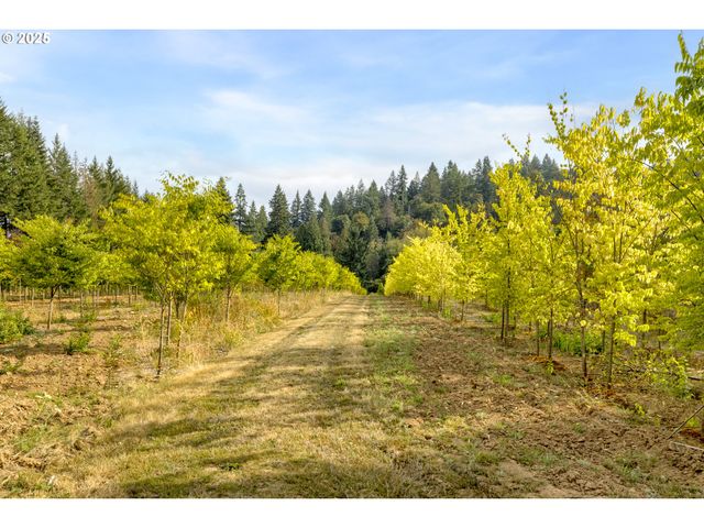 29630 Se WHEELER Rd, Boring, OR 97009