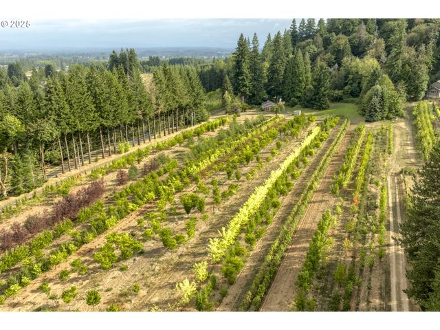 29630 Se WHEELER Rd, Boring, OR 97009