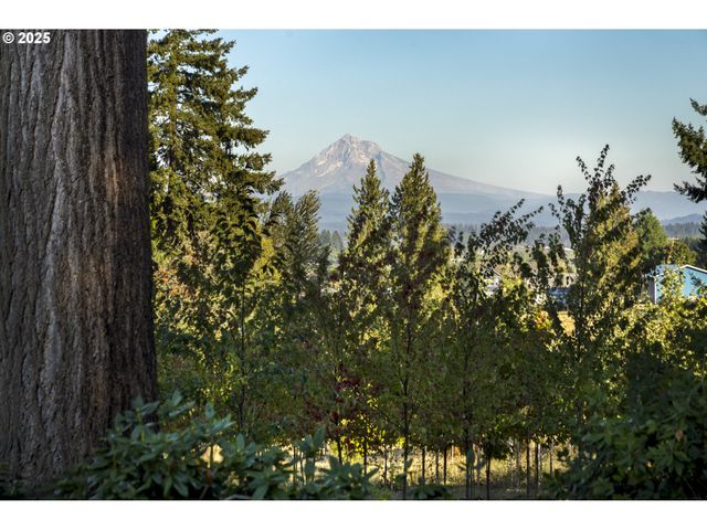 29630 Se WHEELER Rd, Boring, OR 97009