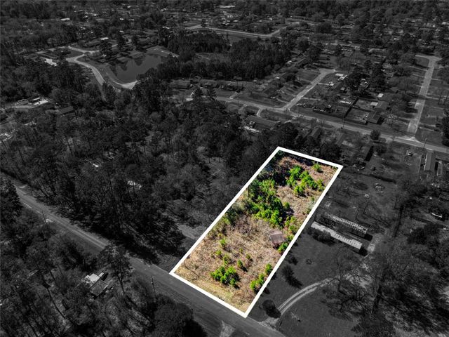 31307 Terri Lane, Magnolia, TX 77355