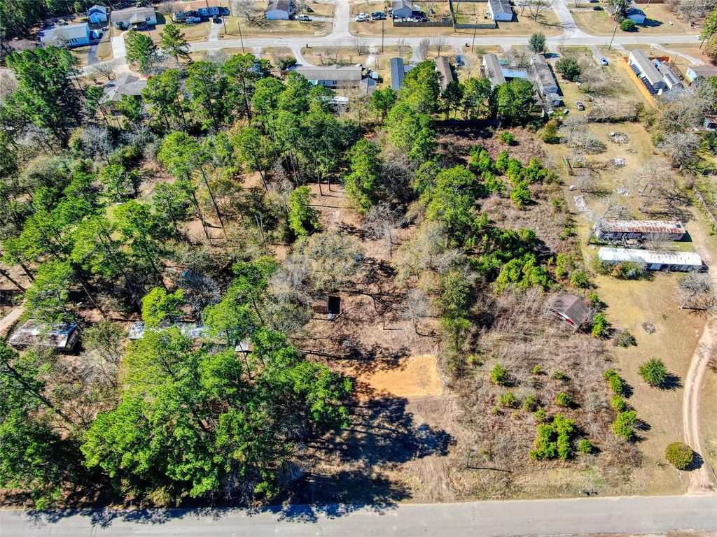 31307 Terri Lane, Magnolia, TX 77355