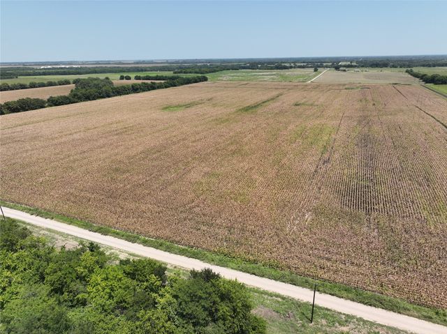 61 Acres FM 137, Petty, TX 75470