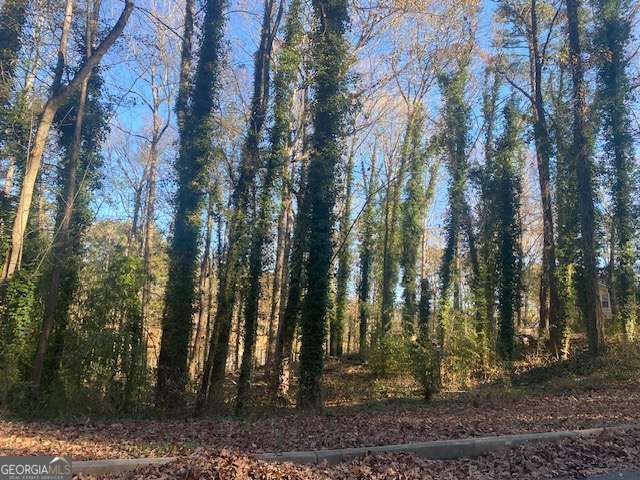 0 Lakeside Drive, Ellenwood, GA 30294