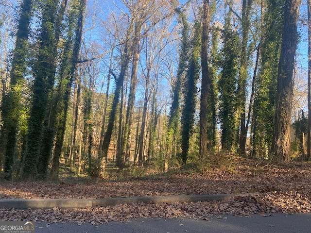 0 Lakeside Drive, Ellenwood, GA 30294