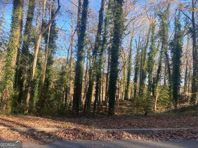 0 Lakeside Drive, Ellenwood, GA 30294